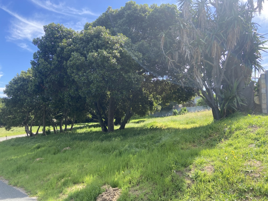 0 Bedroom Property for Sale in Hawston Western Cape
